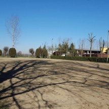 Campo Dressage